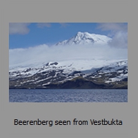 Beerenberg seen from Vestbukta